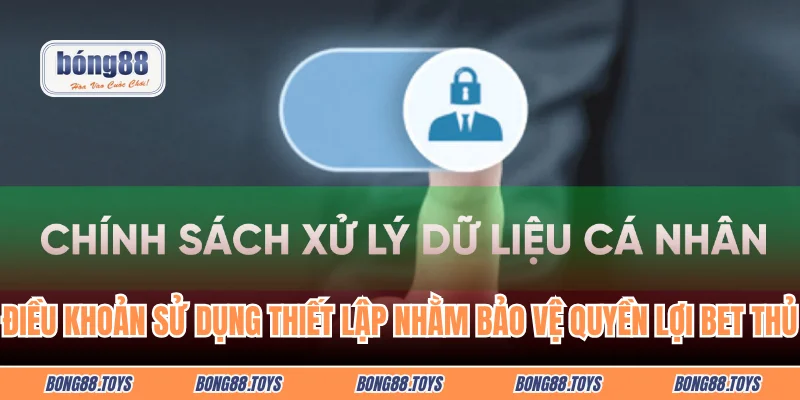 Điều khoản sử dụng thiết lập nhằm bảo vệ quyền lợi bet thủ