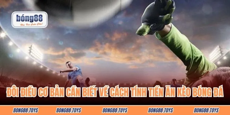 Đôi điều cơ bản cần biết về cách tính tiền ăn kèo bóng đá