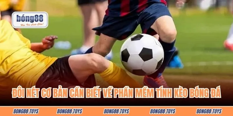 Đôi nét cơ bản cần biết về phần mềm tính kèo bóng đá