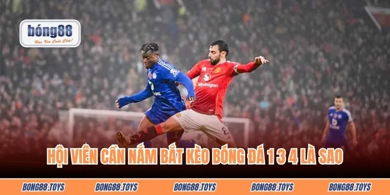 Hội viên cần nắm bắt kèo bóng đá 1 3 4 là sao trước khi xuống tiền đầu tư