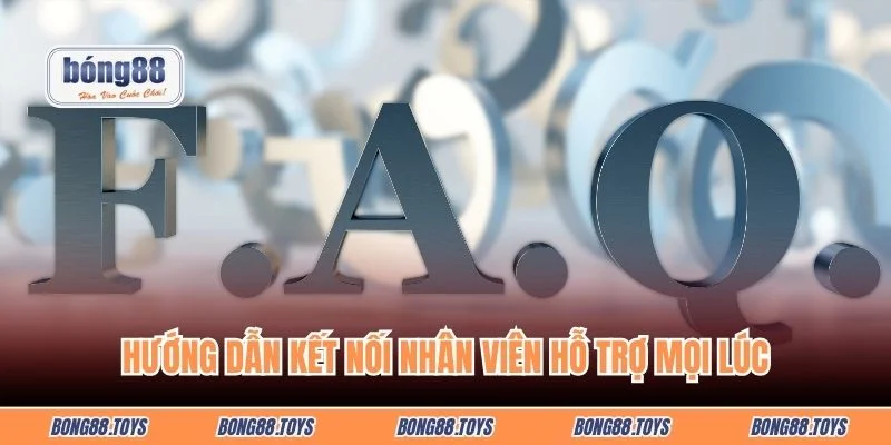 Hướng dẫn kết nối nhân viên hỗ trợ mọi lúc