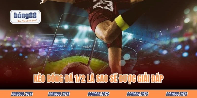 Toàn bộ kiến thức về kèo bóng đá 1/2 là sao sẽ được giải đáp