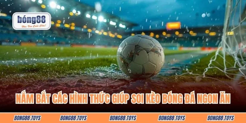 Nắm bắt các hình thức giúp soi kèo bóng đá ngon ăn hôm nay tối ưu
