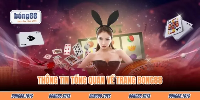 Thông tin tổng quan về trang Bong88